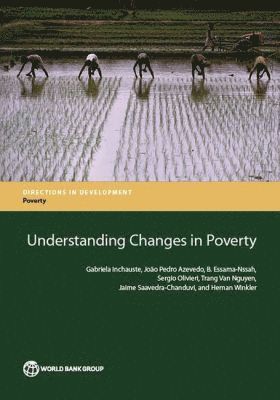 bokomslag Understanding Changes in Poverty