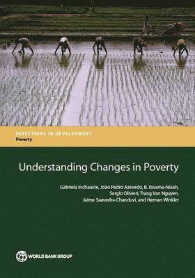 Gabriela Inchauste, João Pedro Azevedo, Joao Pedro Azevedo, B. Essama-Nssah, Gabriela Inchauste - Understanding Changes in Poverty, Häftad