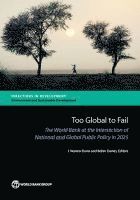 bokomslag Too Global to Fail