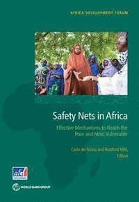 bokomslag Safety nets in Africa