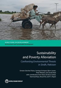 bokomslag Sustainability and poverty alleviation