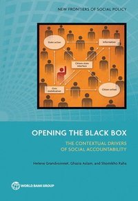 bokomslag Opening the Black Box