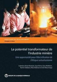 bokomslag Le potentiel transformateur de l'industrie miniere en Afrique