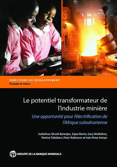 Sudeshna Ghosh Banerjee, Zayra Romo, Gary McMahon, Perrine Toledano, Peter Robinson - Le Potentiel Transformateur De L'industrie Miniere En Afrique, Häftad