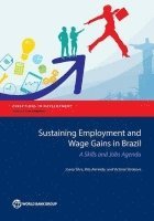 Sustaining employment and wage gains in Brazil 1