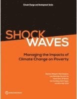 Marianne Fay, Stephane Hallegatte, Mook Bangalore, Julie Rozenberg, Tamaro Kane, Vogt-Schilb Adrien, Ulf Narloch - Shock Waves, Häftad