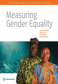 bokomslag Measuring gender equality