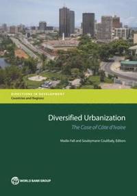 bokomslag Diversified Urbanization