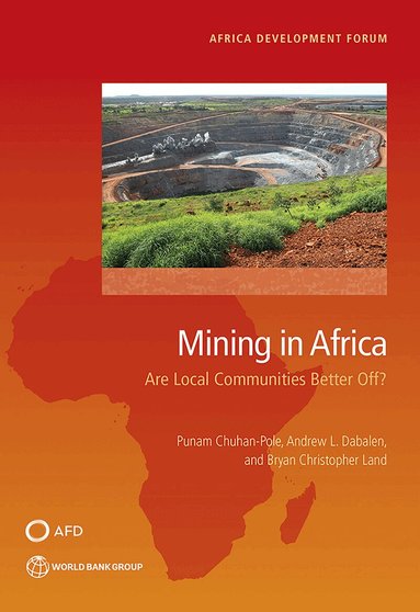 Punam Chuhan-Pole - Mining in Africa, Häftad