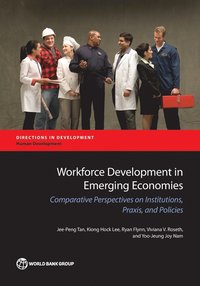 bokomslag Workforce development in emerging economies