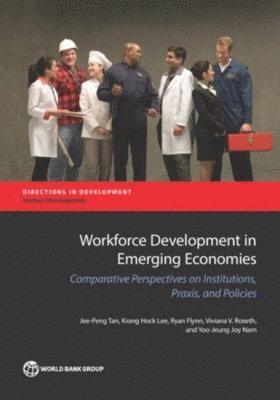 bokomslag Workforce Development in Emerging Economies