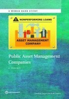 bokomslag Public asset management companies