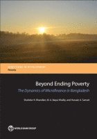 bokomslag Beyond Ending Poverty