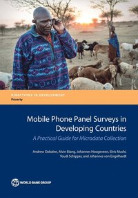 bokomslag Mobile phone panel surveys in developing countries
