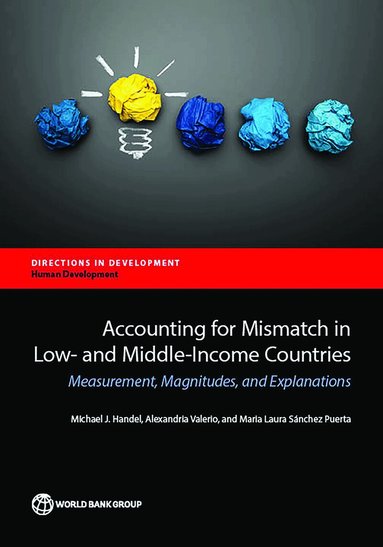 Michael J. Handel, Alexandria Valerio, Maria Laura Sanchez Puerta - Accounting for Education Mismatch in Developing Countries, Häftad