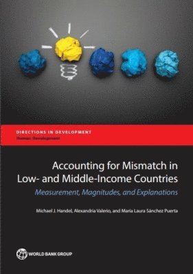 bokomslag Accounting for Education Mismatch in Developing Countries