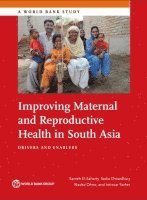 bokomslag Improving Maternal and Reproductive Health in South Asia