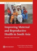 bokomslag Improving maternal and reproductive health in South Asia