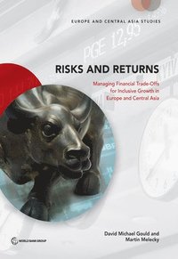 bokomslag Risks and returns