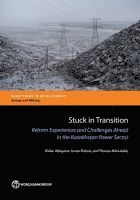 bokomslag Stuck in Transition
