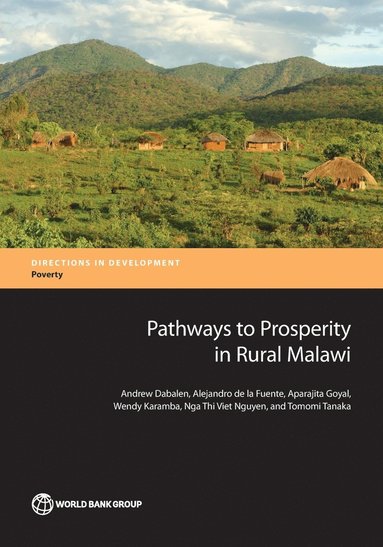 bokomslag Pathways to prosperity in rural Malawi