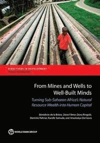 bokomslag From mines and wells to well-built minds