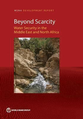 bokomslag Beyond Scarcity