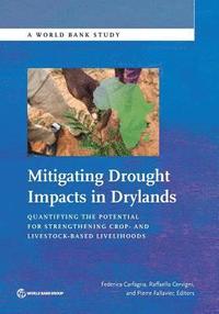 bokomslag Mitigating drought impacts in drylands