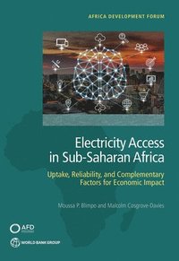 bokomslag Electricity access in sub-Saharan Africa