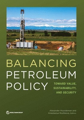 bokomslag Balancing Petroleum Policy