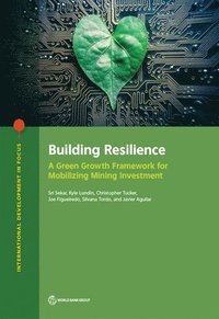 bokomslag Building Resilience