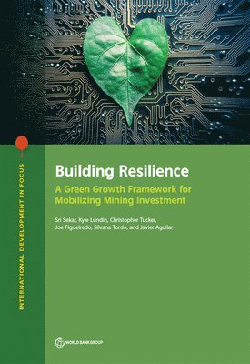 bokomslag Building Resilience