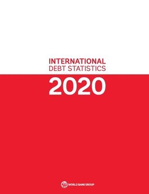bokomslag International Debt Statistics 2020