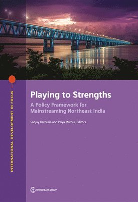 bokomslag Playing to Strengths