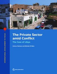 bokomslag The private sector amid conflict