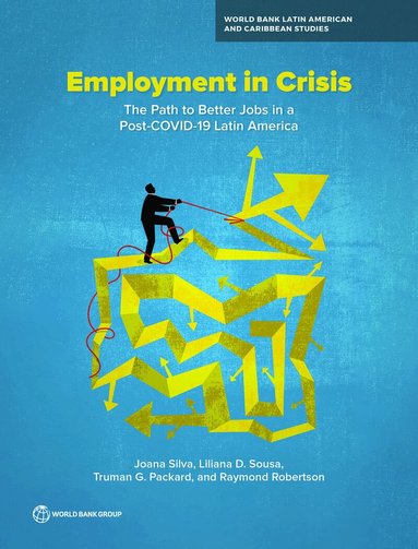 Joana Silva, Liliana Sousa, Truman Packard, Raymond Robertson - Employment in Crisis, Häftad