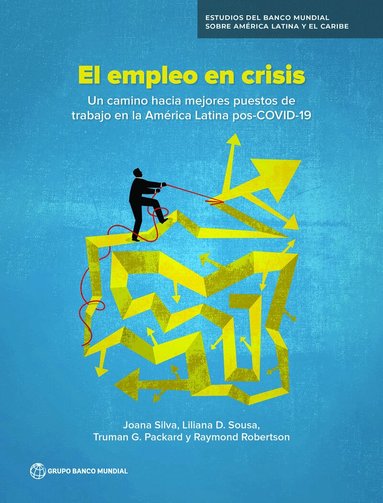 Joana Silva, Liliana Sousa, Truman Packard, Raymond Robertson - Employment in Crisis (Spanish Edition), Häftad