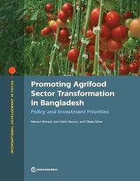 bokomslag Promoting agrifood sector transformation in Bangladesh