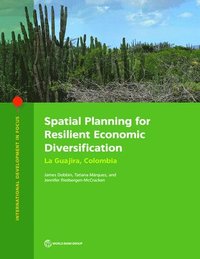 bokomslag Spatial planning for resilient economic diversification