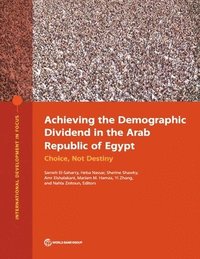 bokomslag Achieving the Demographic Dividend in the Arab Republic of Egypt