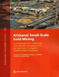 bokomslag Artisanal Small-Scale Gold Mining