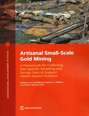 bokomslag Artisanal Small-Scale Gold Mining