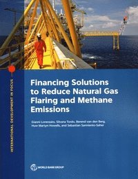 bokomslag Financing Solutions to Reduce Natural Gas Flaring and Methane Emissions