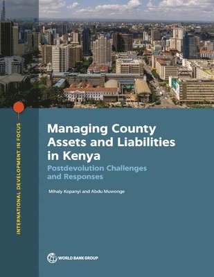 Managing County Assets and Liabilities in Kenya
