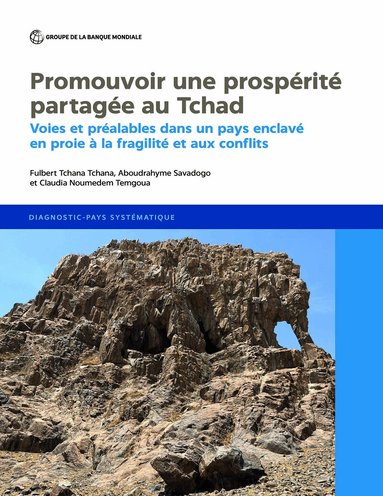 Fulbert Tchana Tchana, Aboudrahyme Savadogo, Claudia Noumedem Temgoua - Stimuler Une Prospérité Partagée Au Chad, Häftad