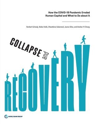 Collapse and Recovery 1