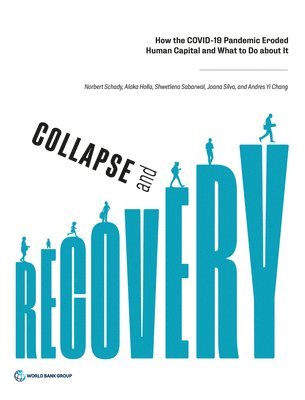 Collapse and Recovery 1