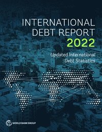 bokomslag International Debt Report 2022