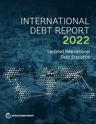 bokomslag International Debt Report 2022
