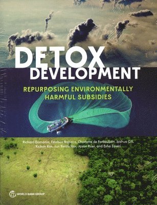 bokomslag Detox Development